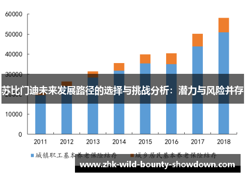 苏比门迪未来发展路径的选择与挑战分析:潜力与风险并存 苏比门迪未来发展路径的选择与挑战分析:潜力与风险并存