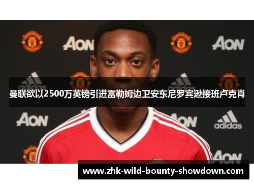 曼联欲以2500万英镑引进富勒姆边卫安东尼罗宾逊接班卢克肖